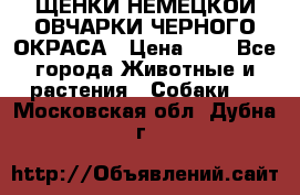 ЩЕНКИ НЕМЕЦКОЙ ОВЧАРКИ ЧЕРНОГО ОКРАСА › Цена ­ 1 - Все города Животные и растения » Собаки   . Московская обл.,Дубна г.